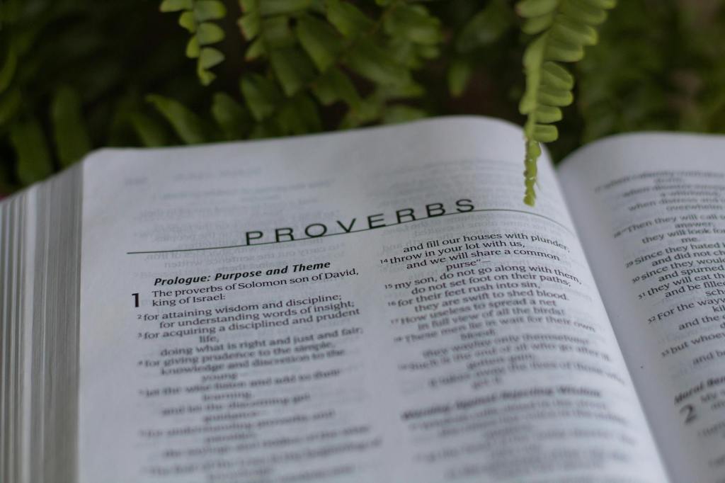 A Personal Journey Through Proverbs